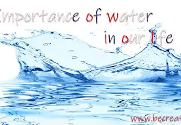 Importance of Water: 10 points that you need to know